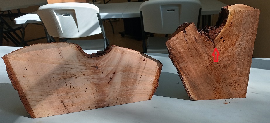 Good branch angles versus bad branch angles